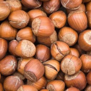 Best-Quality-Hazel-Nuts.jpg